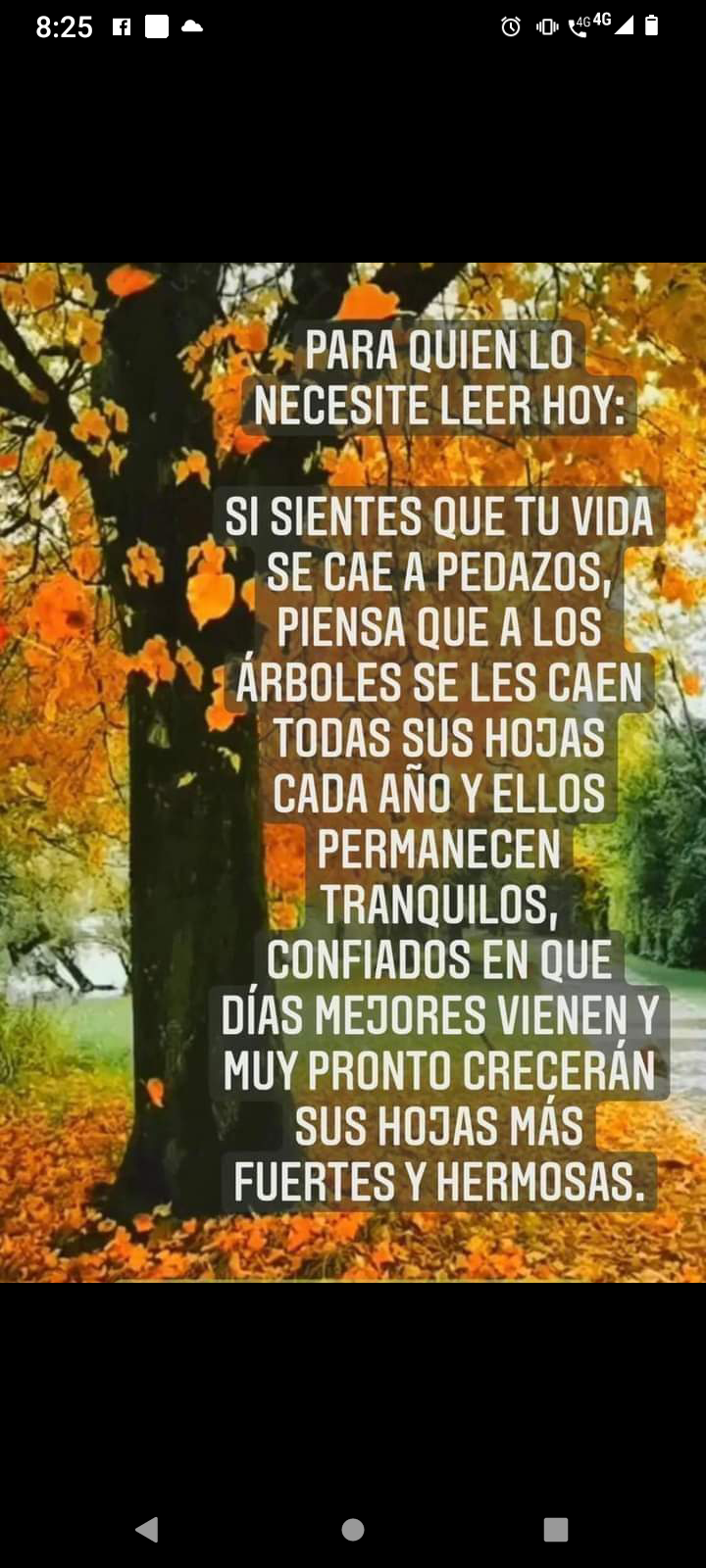 Si sientes que la vida se te cae a pedazos