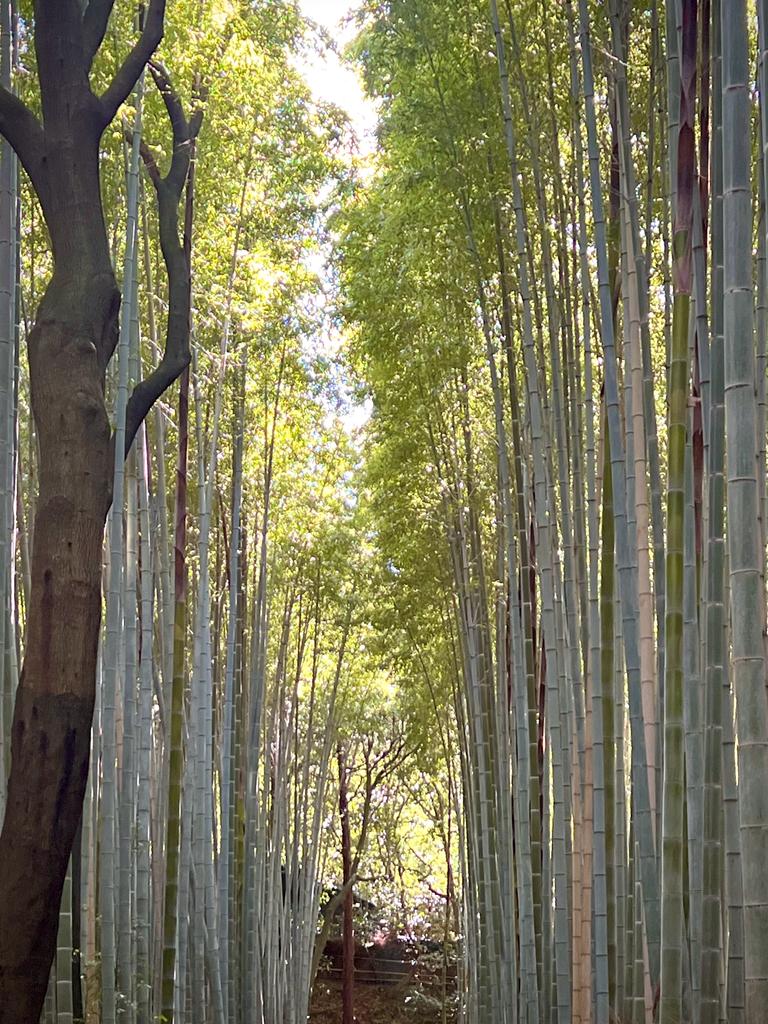 The path to everywhere
