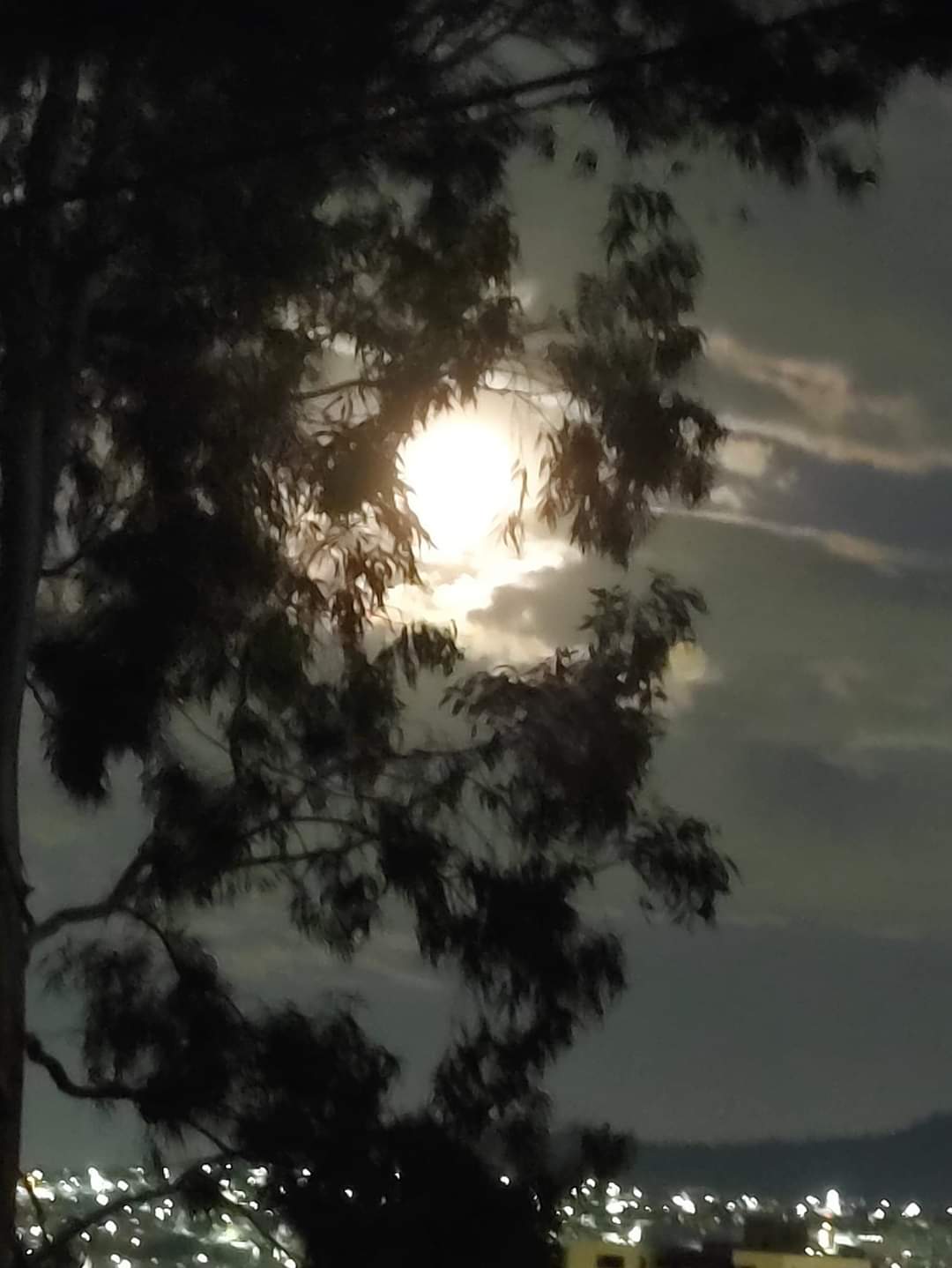 Luna tenebrosa