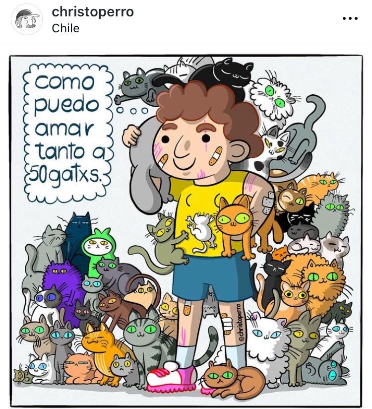 50 gatos