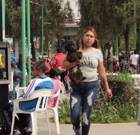 Perritos por la ciudad II