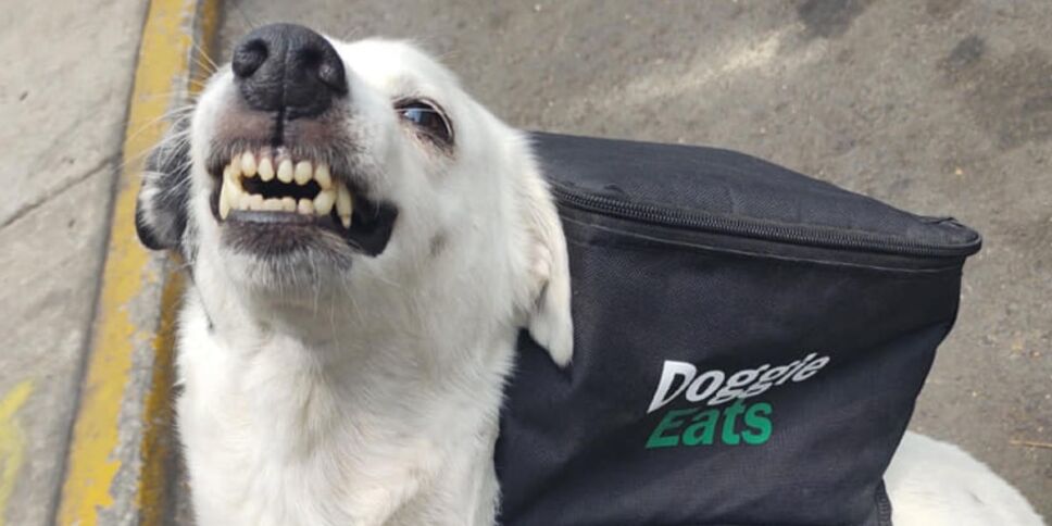 Gracias por la propina joven...