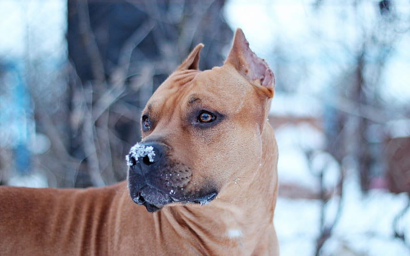 Que se me pego en la nariz?