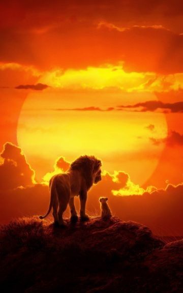 Leones en ocaso