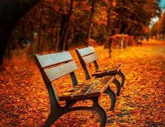 beautiful pic