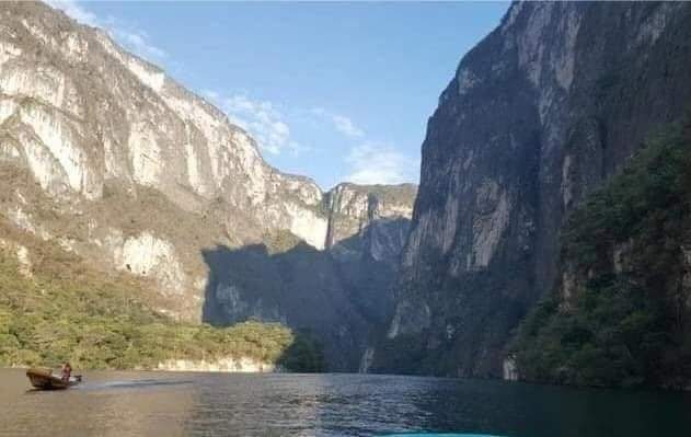 Lindo