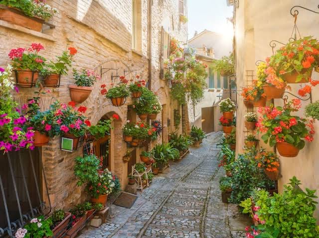 flores al pasar