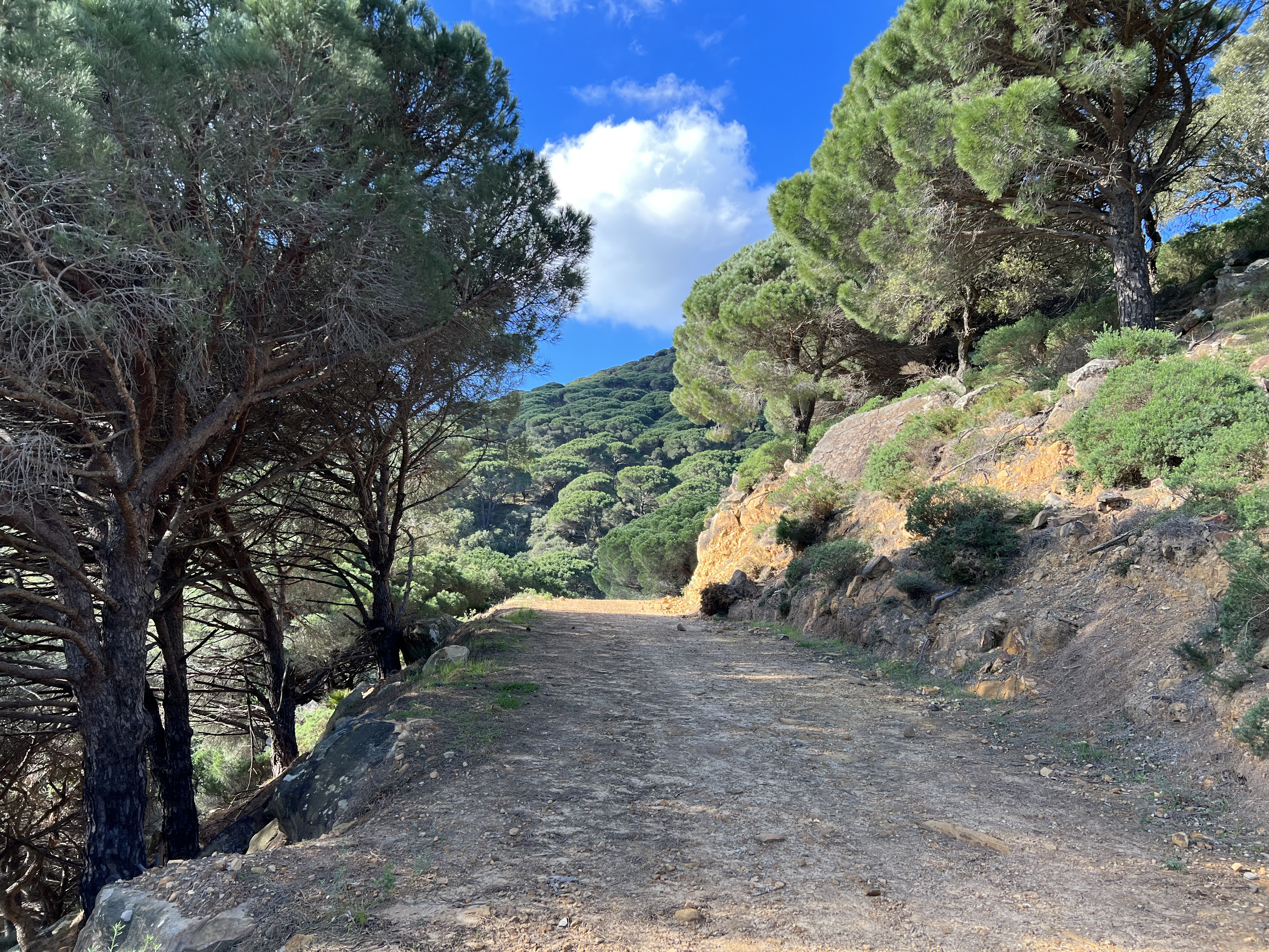 A hike in Tarifa