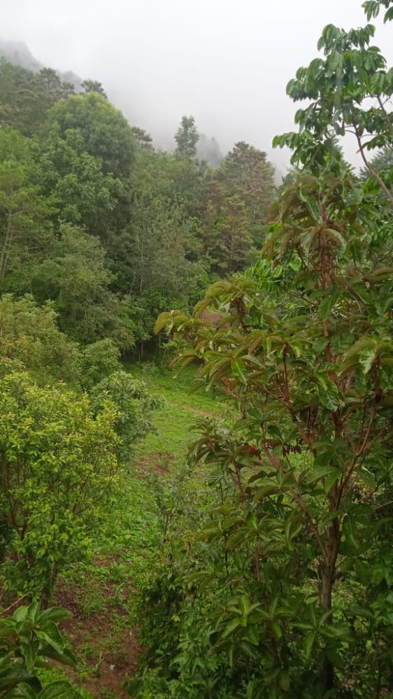 Paisaje mientras llueve