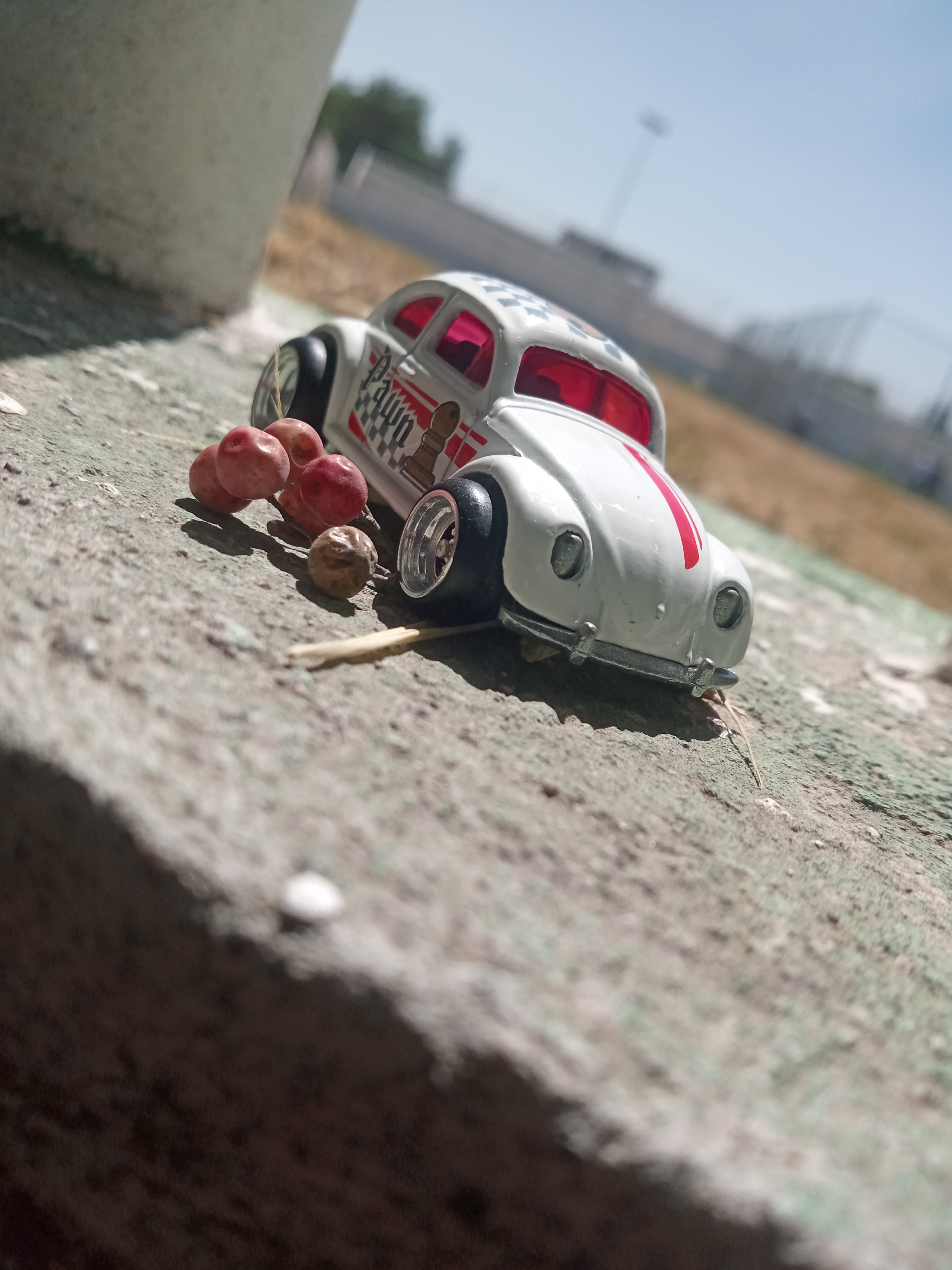 Vocho *VolksWagen*