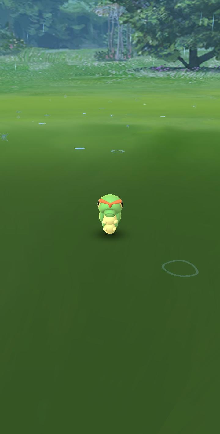 Caterpi