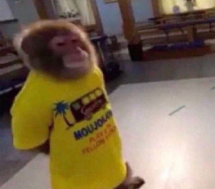 Monkey