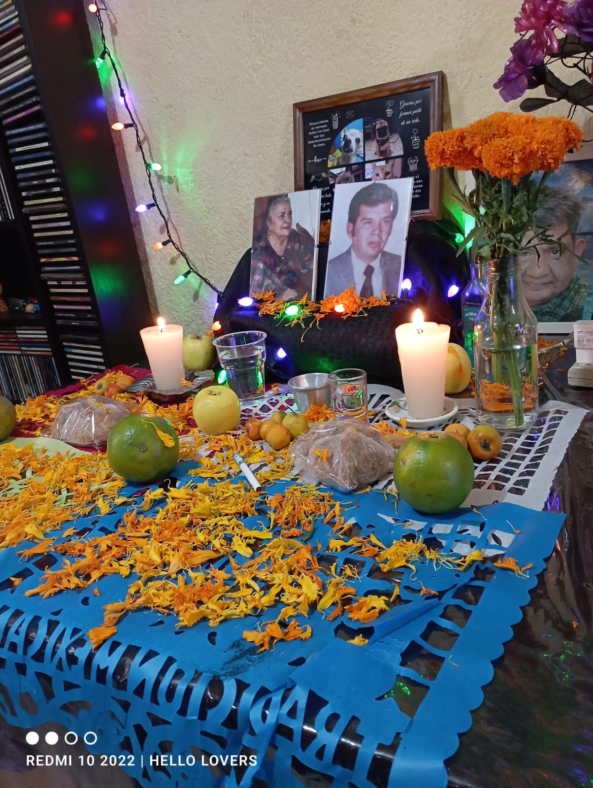 Ofrenda 2023