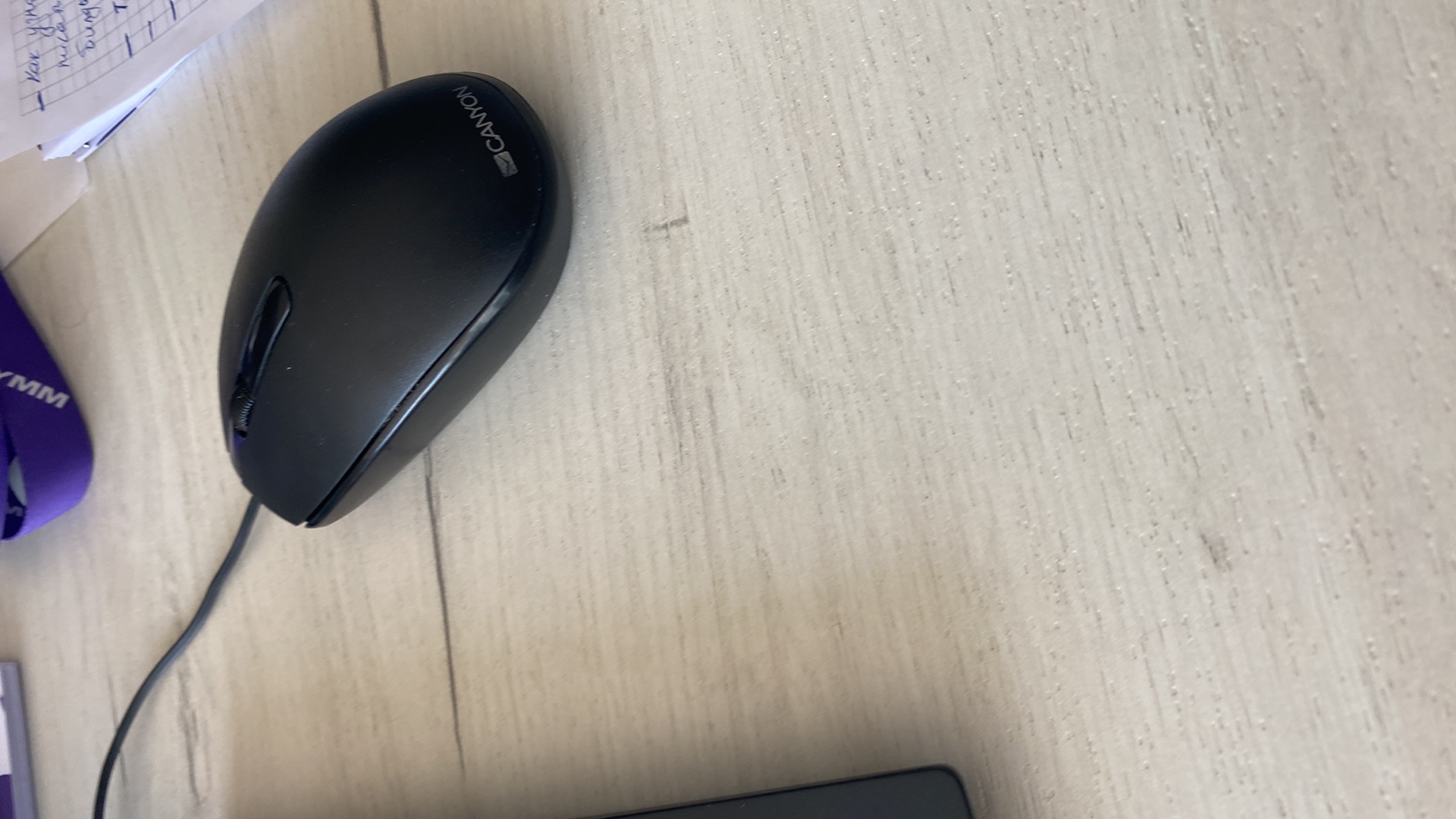 test mouse