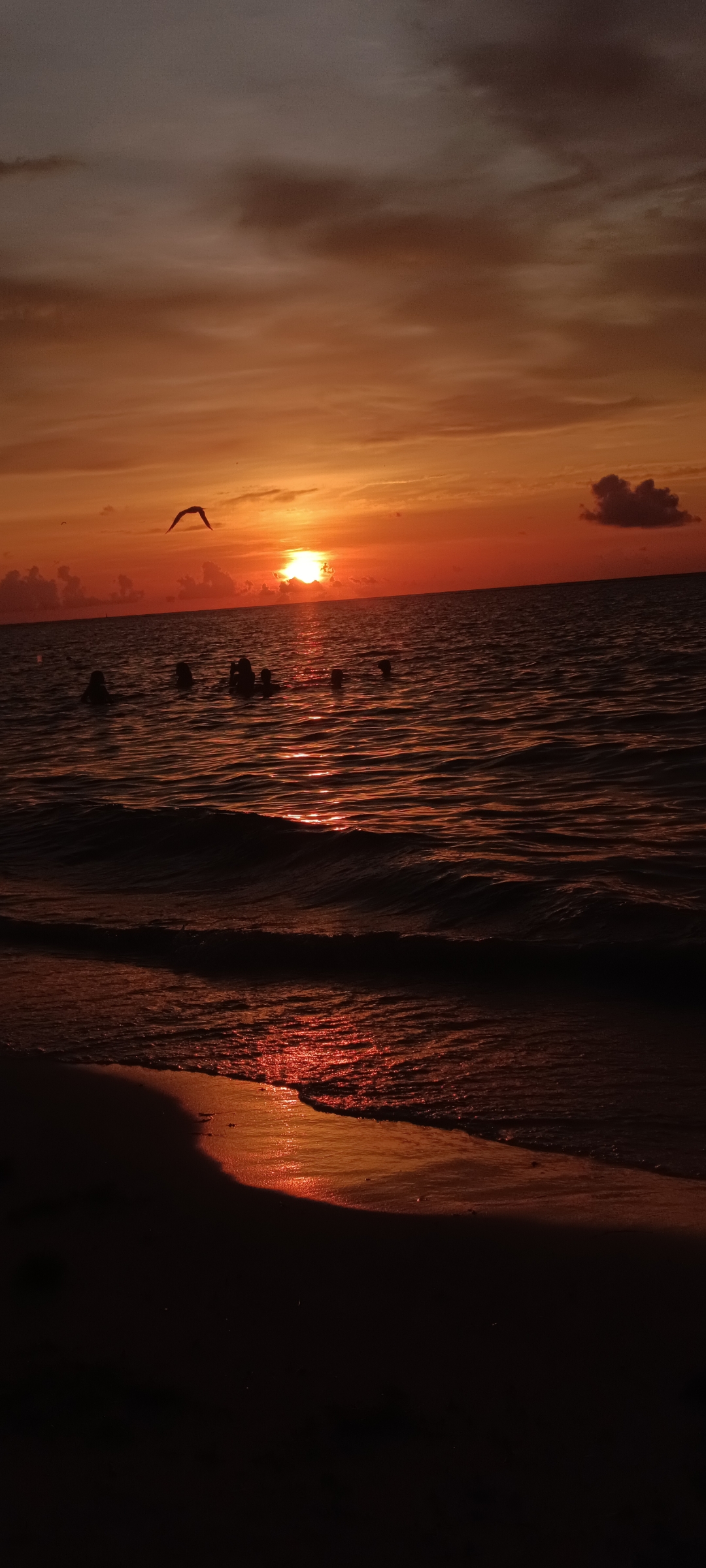 Amanecer playa del Carmen