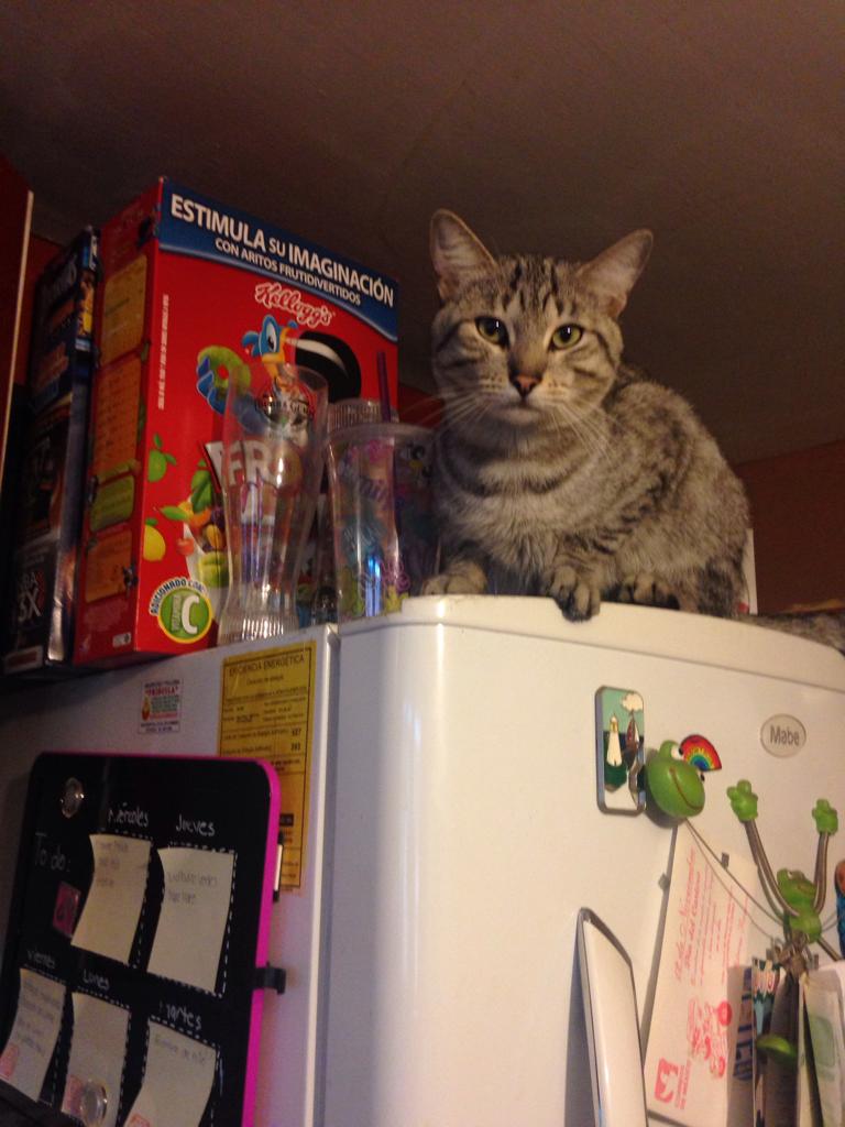 Quiero cereal