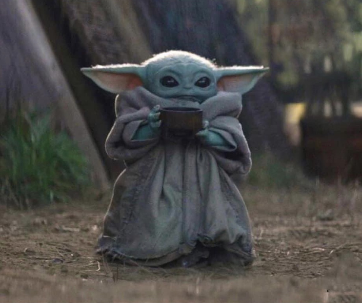 Yoda