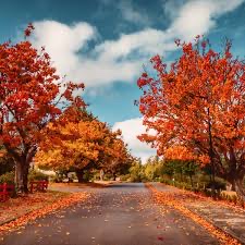 autumn