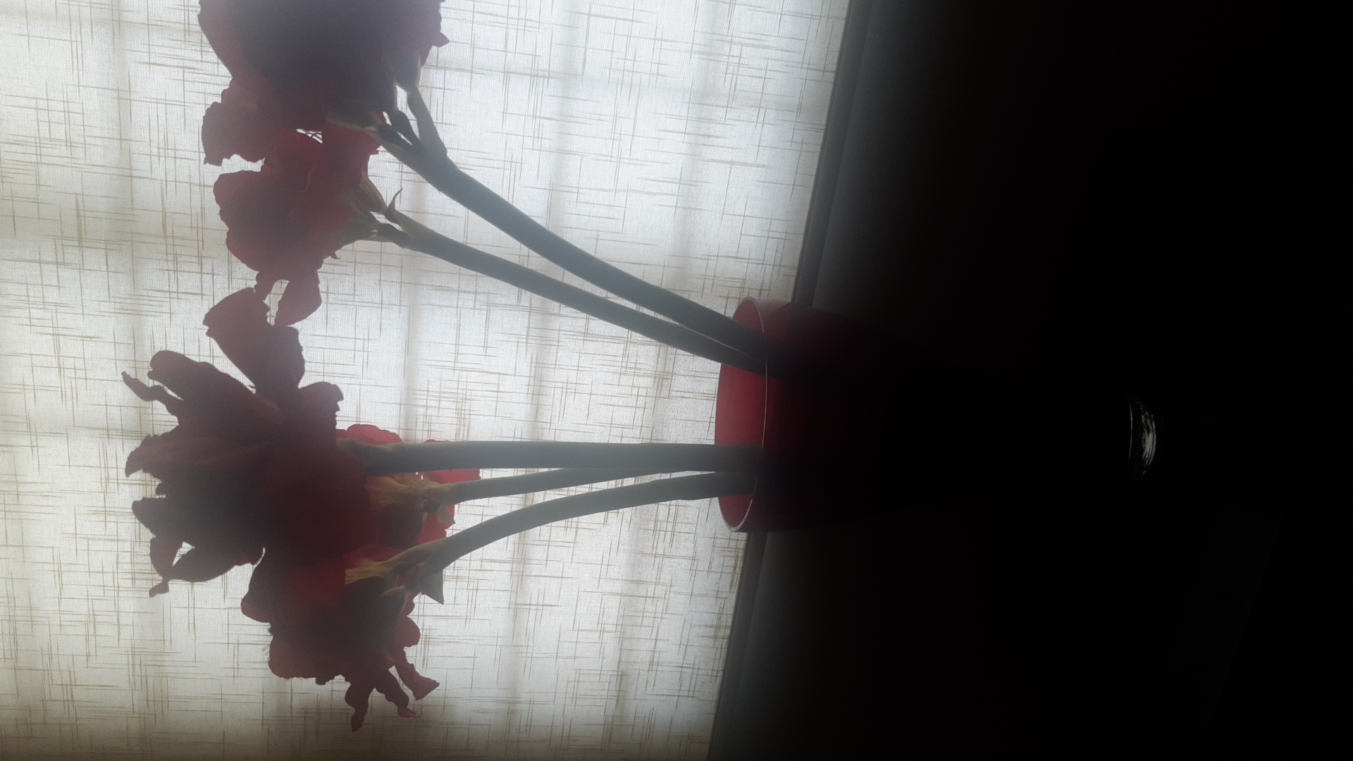 Flor