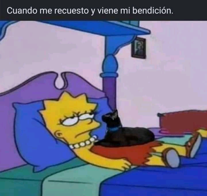 Siempre yo