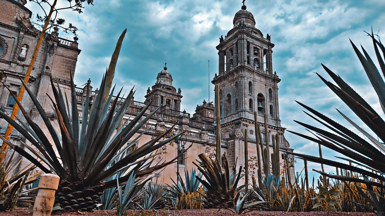 Catedral
