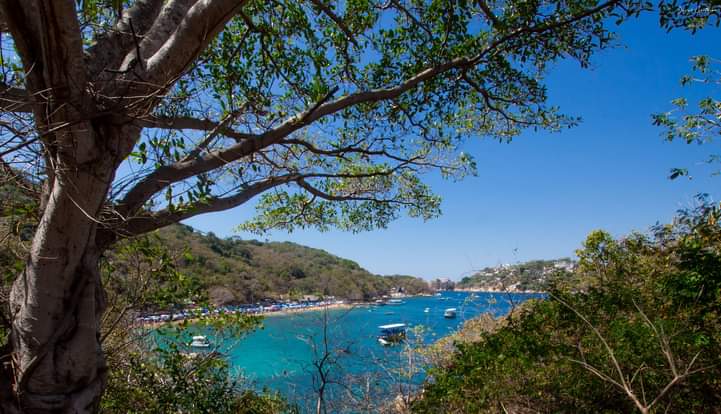 ROQUETA #3ACAPULCO GRO