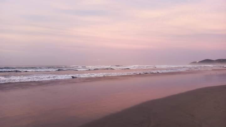Pink sea