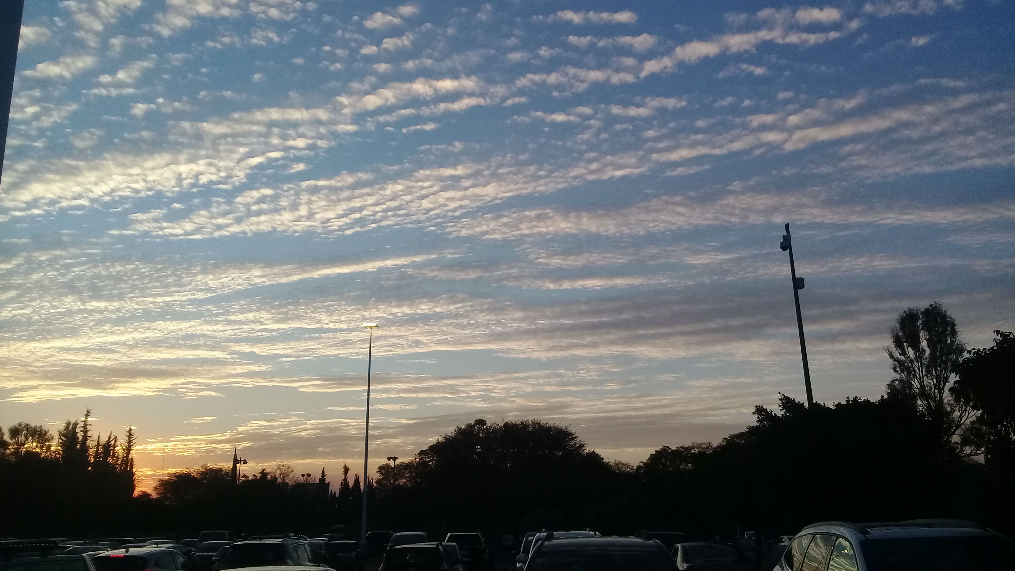 Atardecer