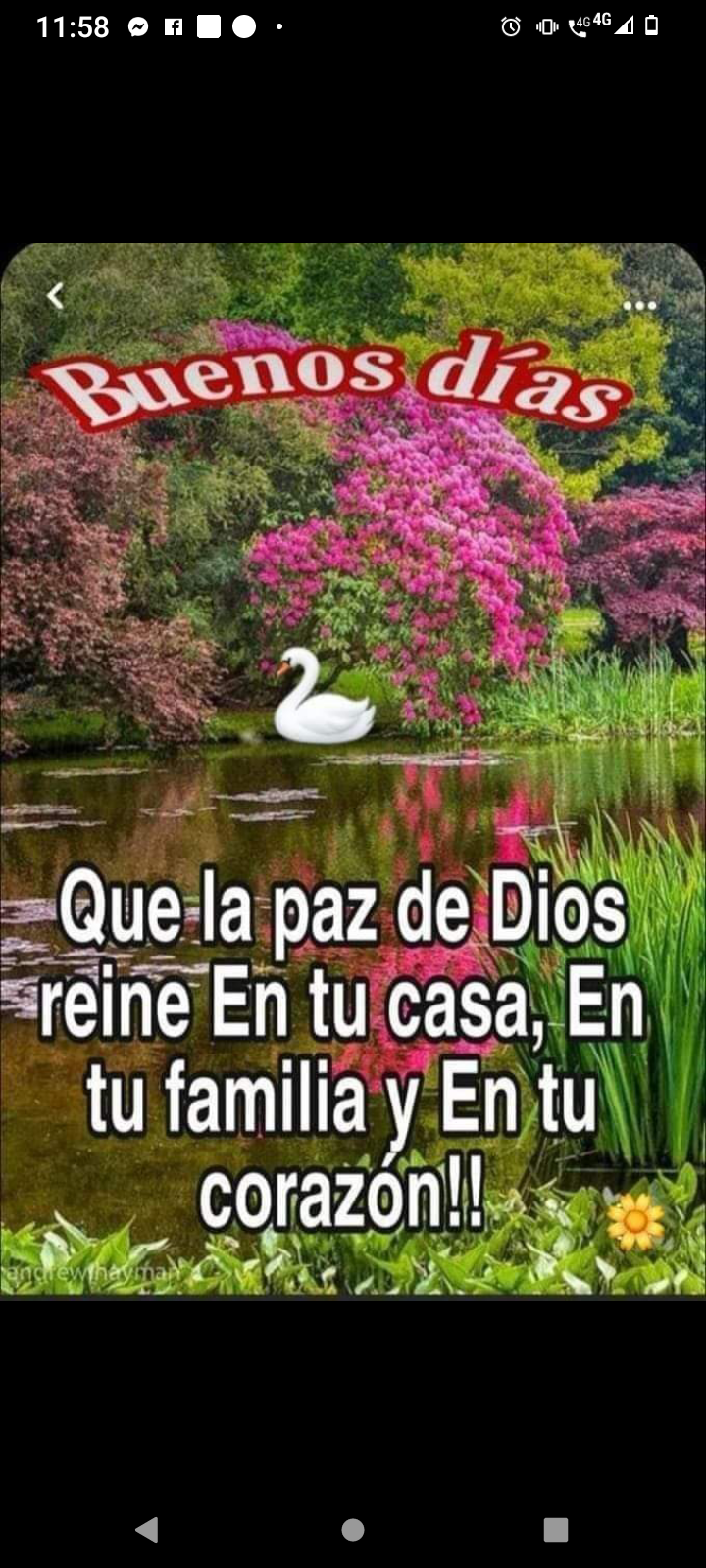 Que la paz de Dios