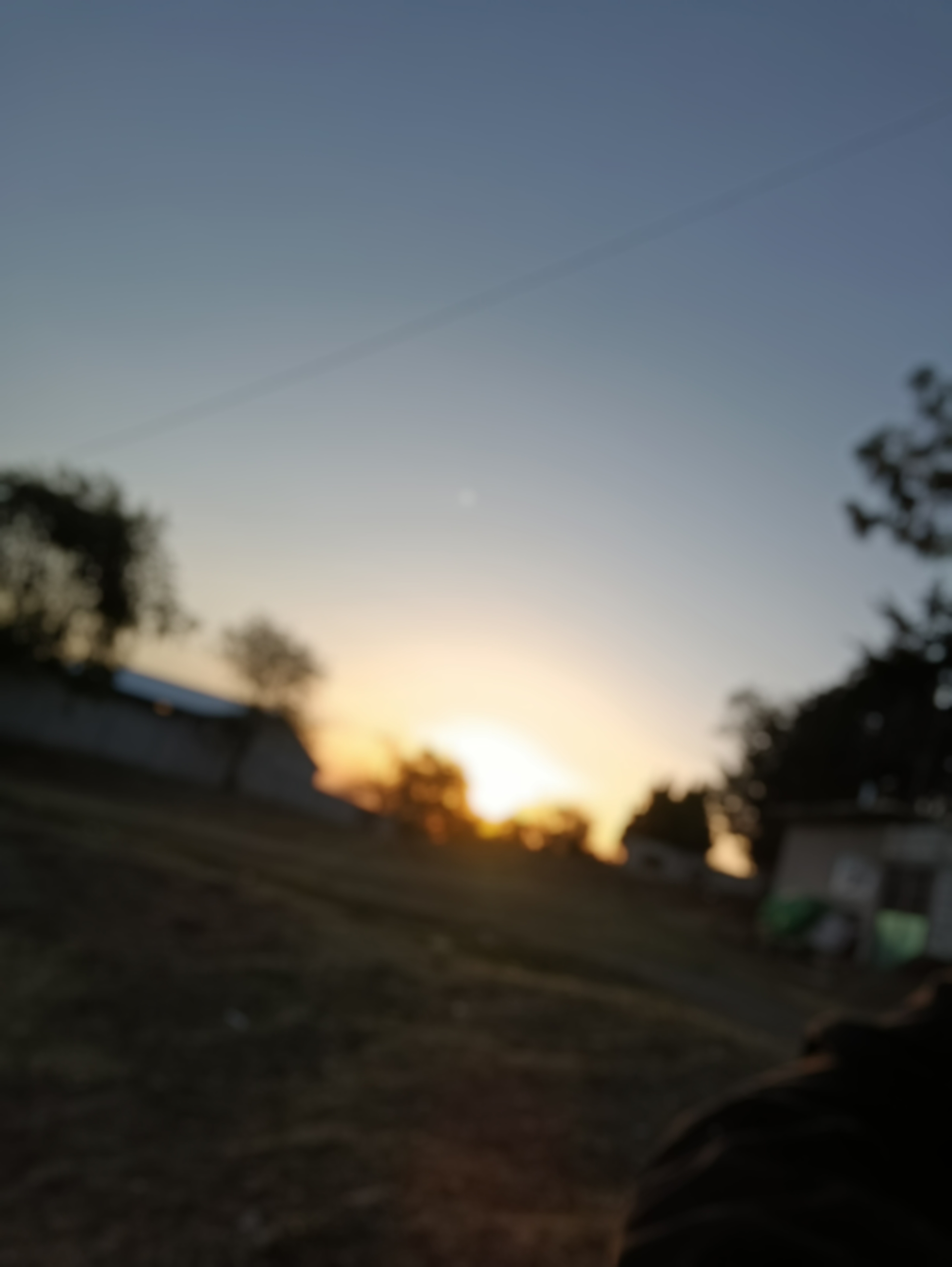 Tarde borrosa