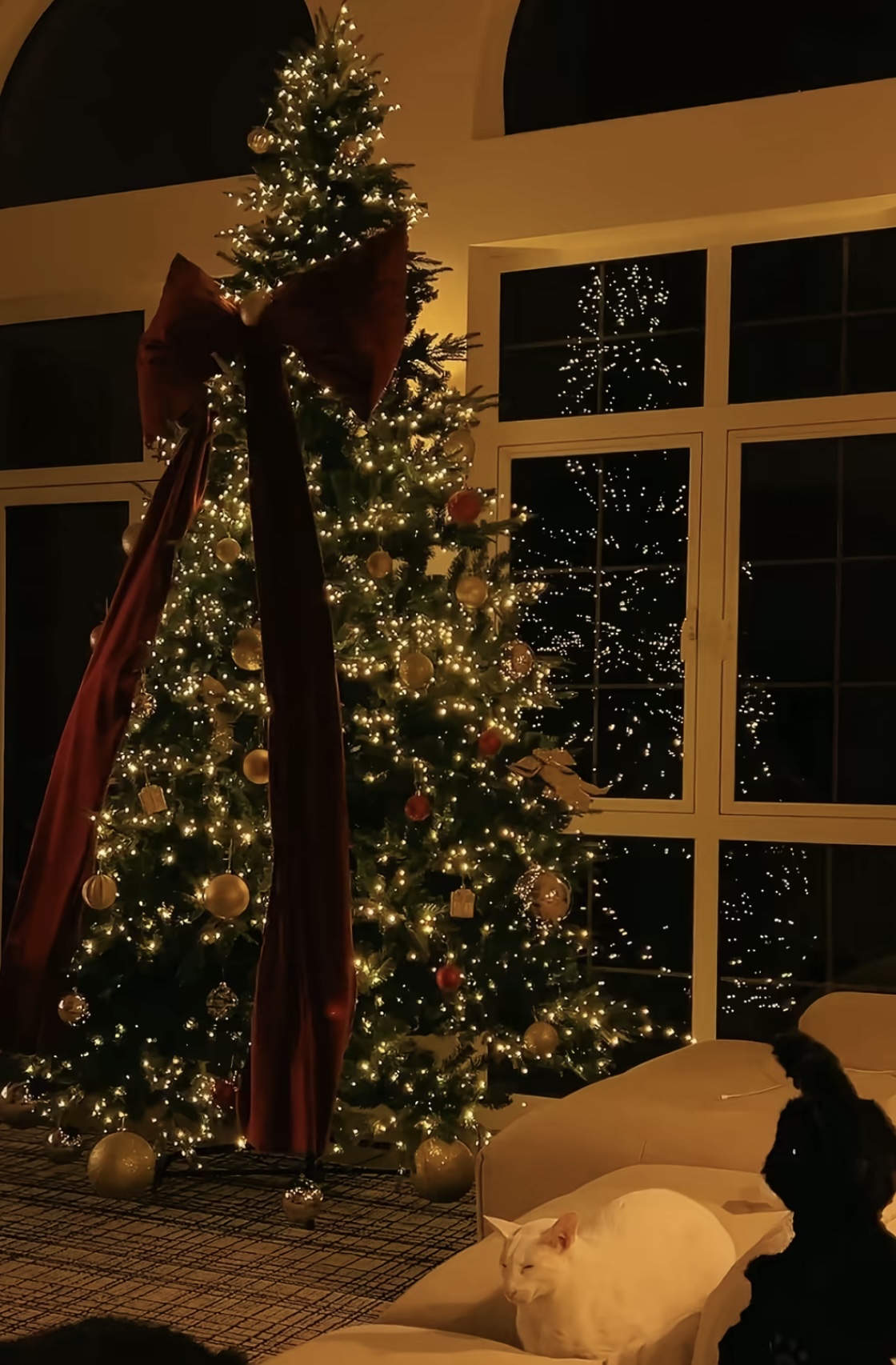 Tree Lighting
