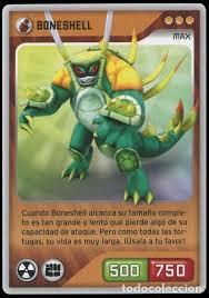 Tortuga
