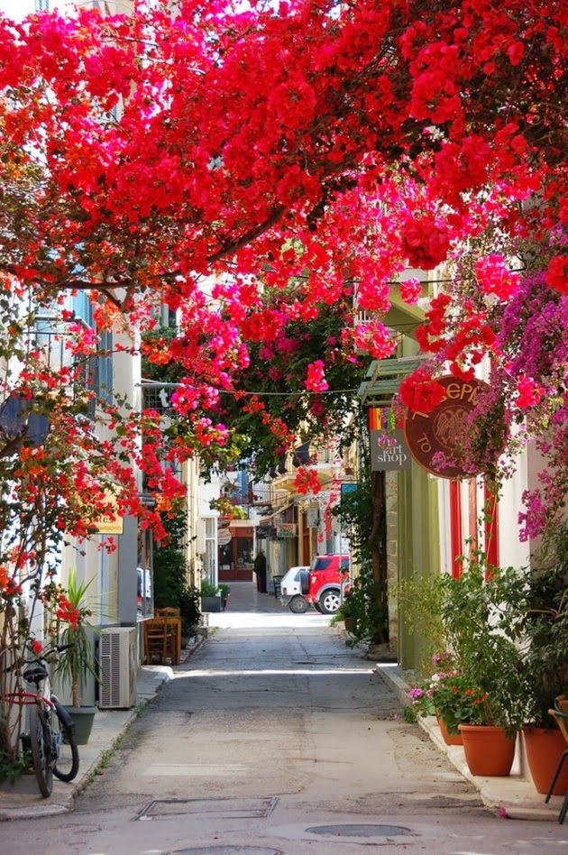 Pasillo de las flores