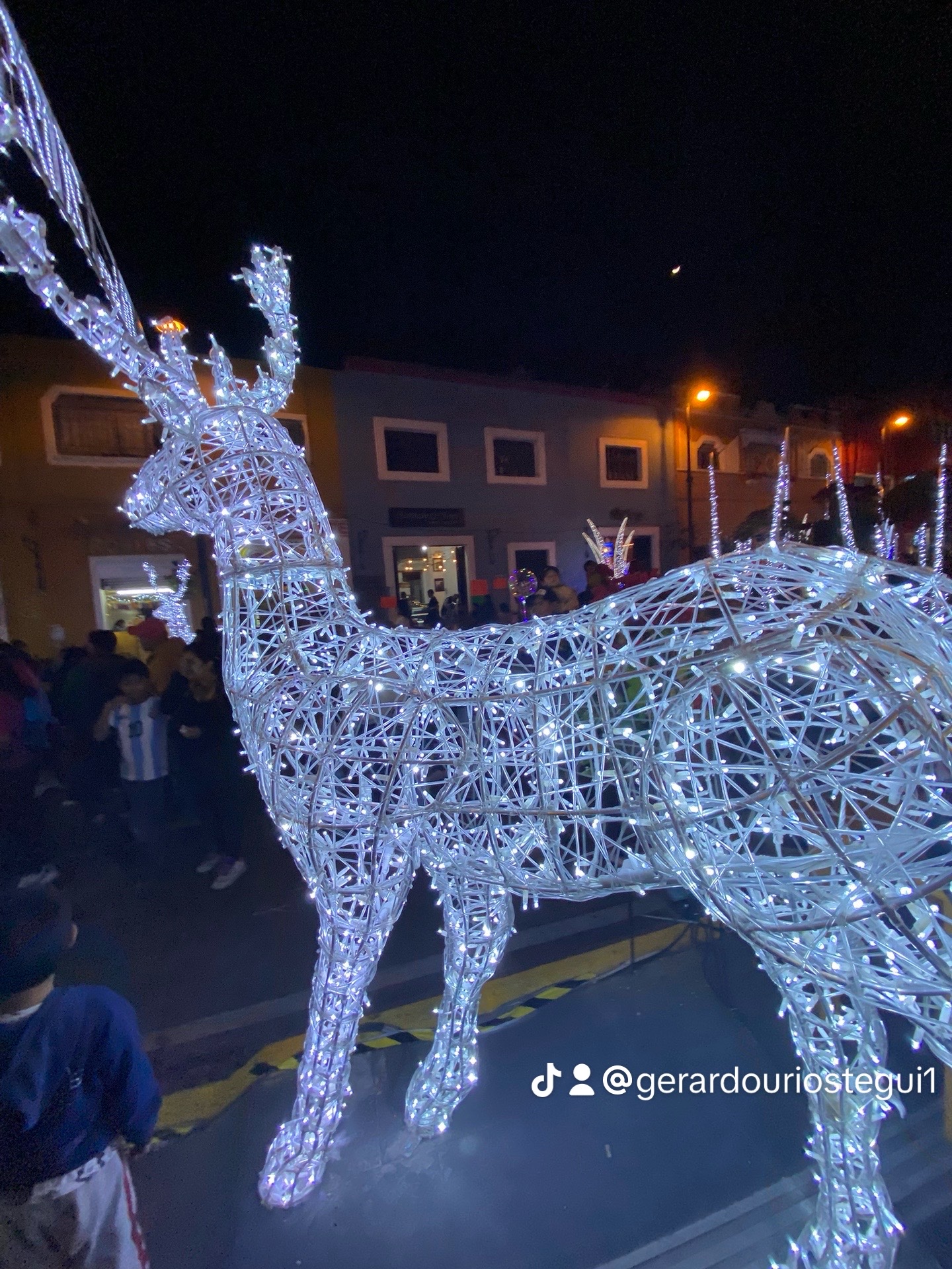 LUCES DE NAVIDAD