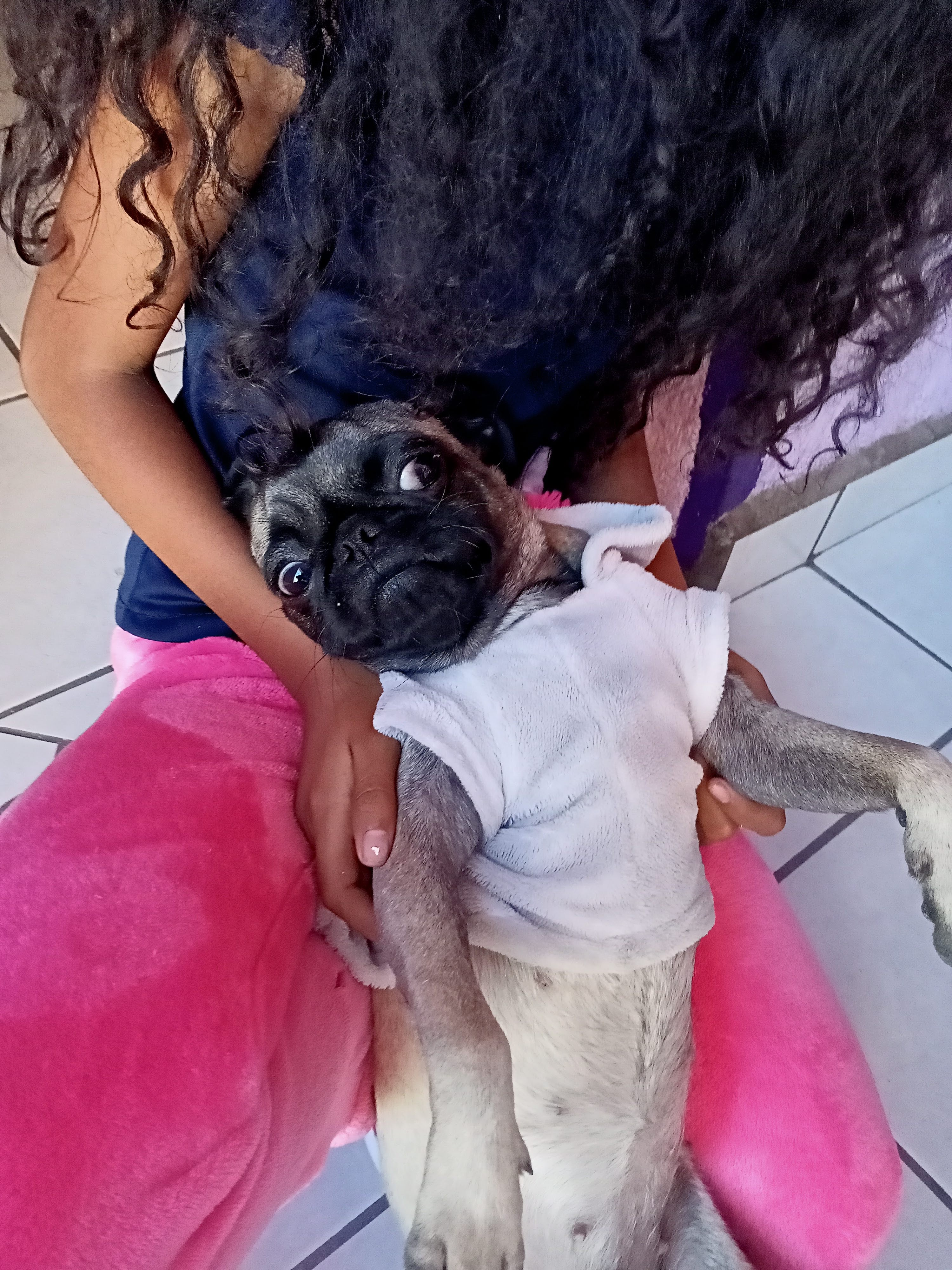 Flor