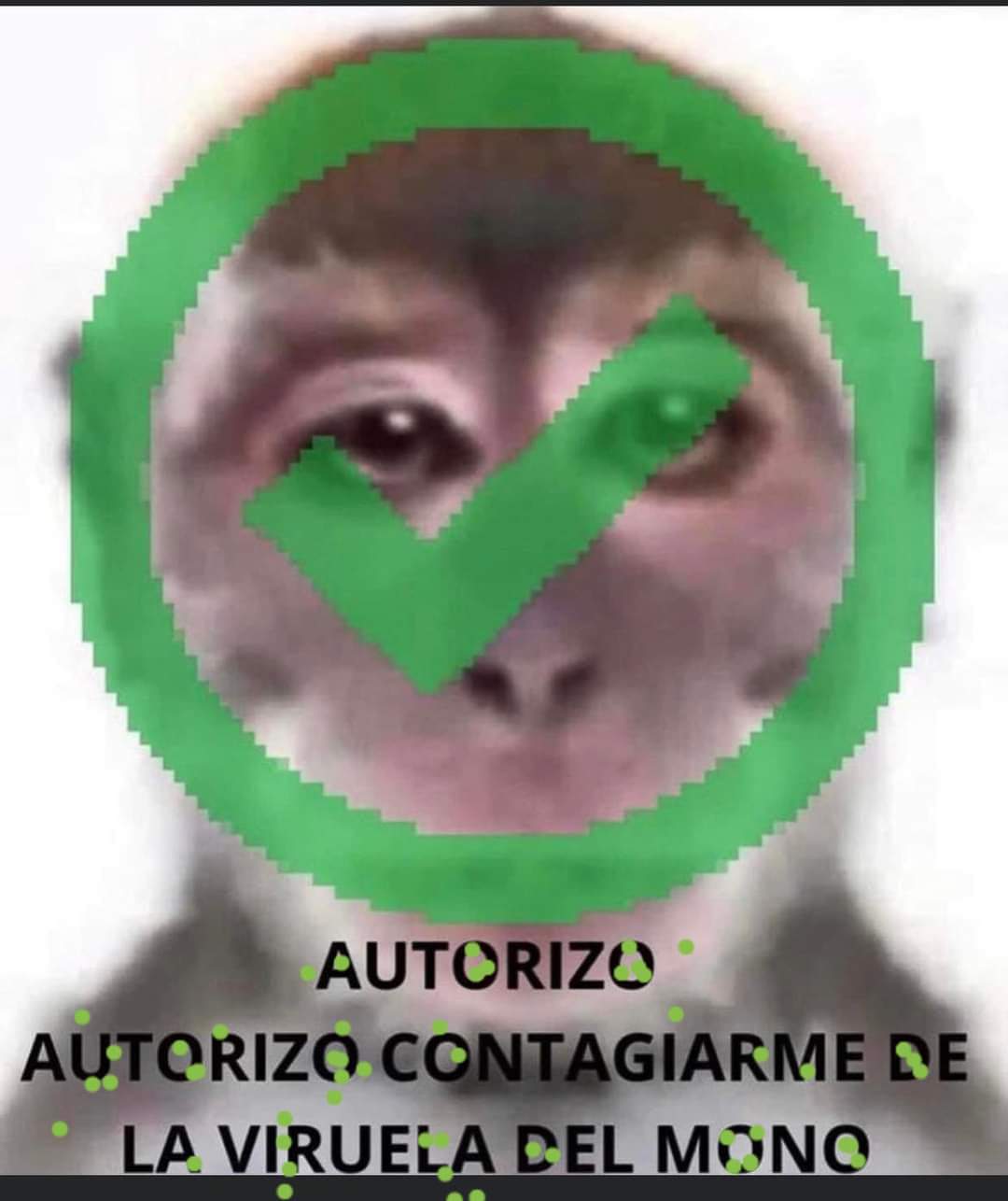 Autorizo