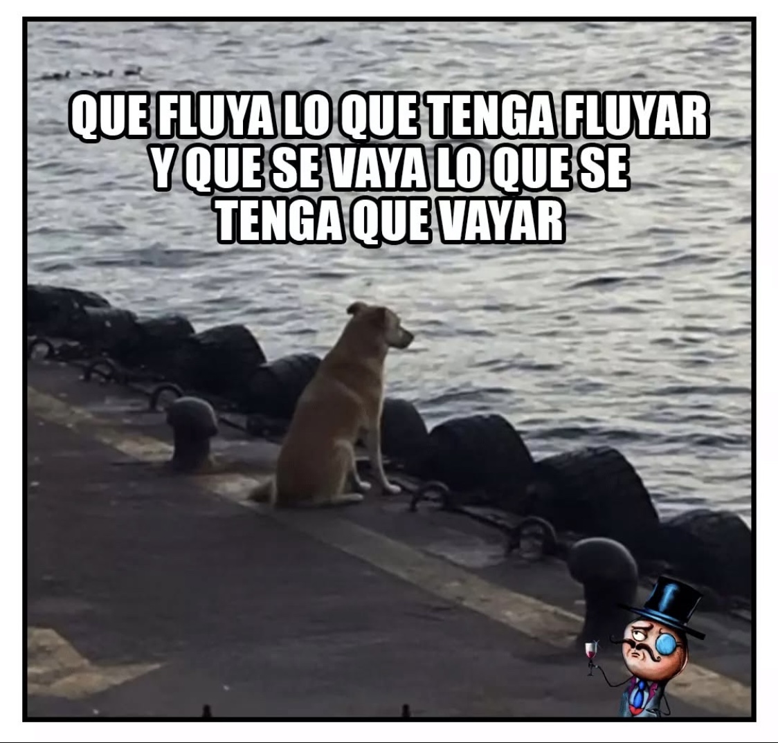 perro