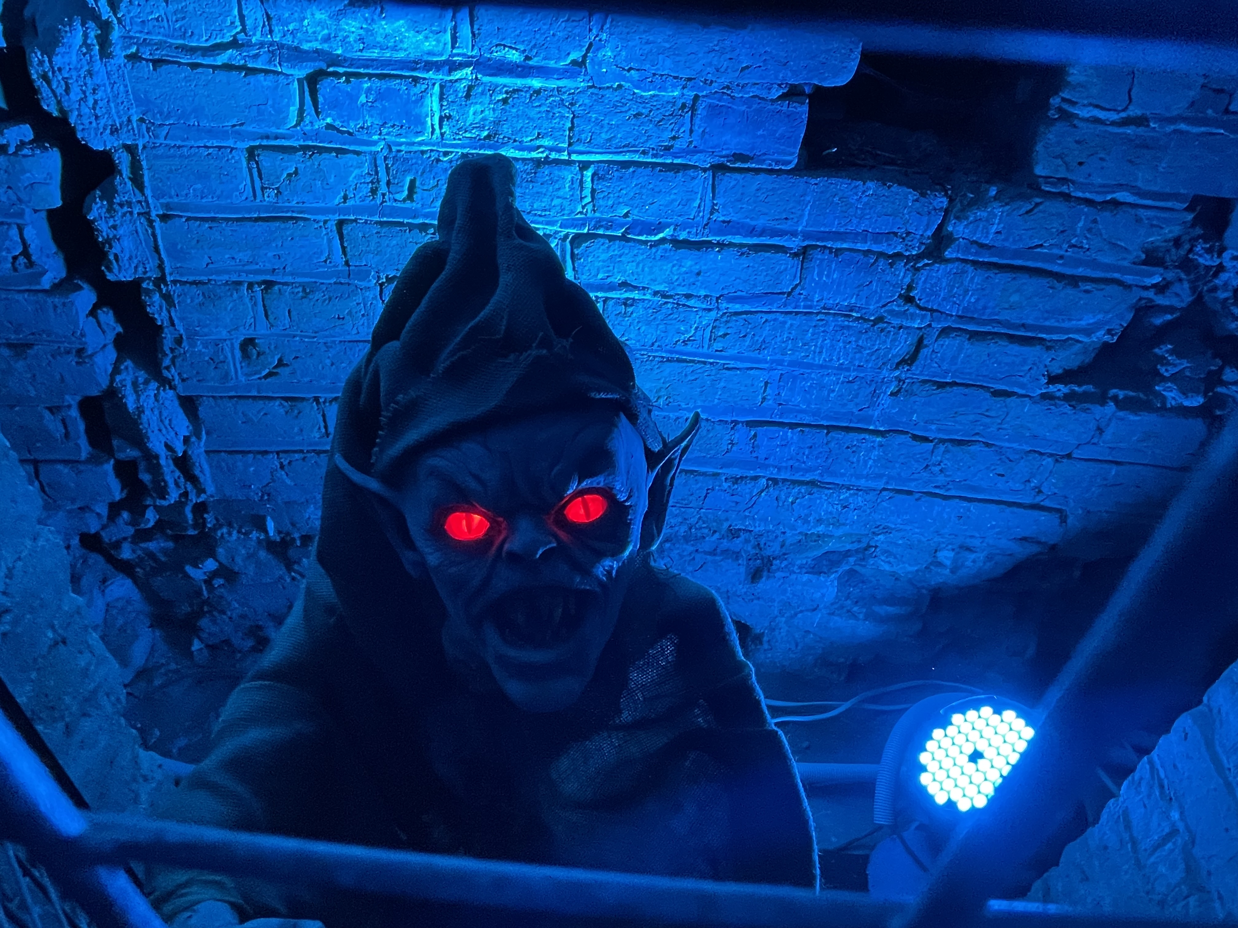 blue is my colour of the day