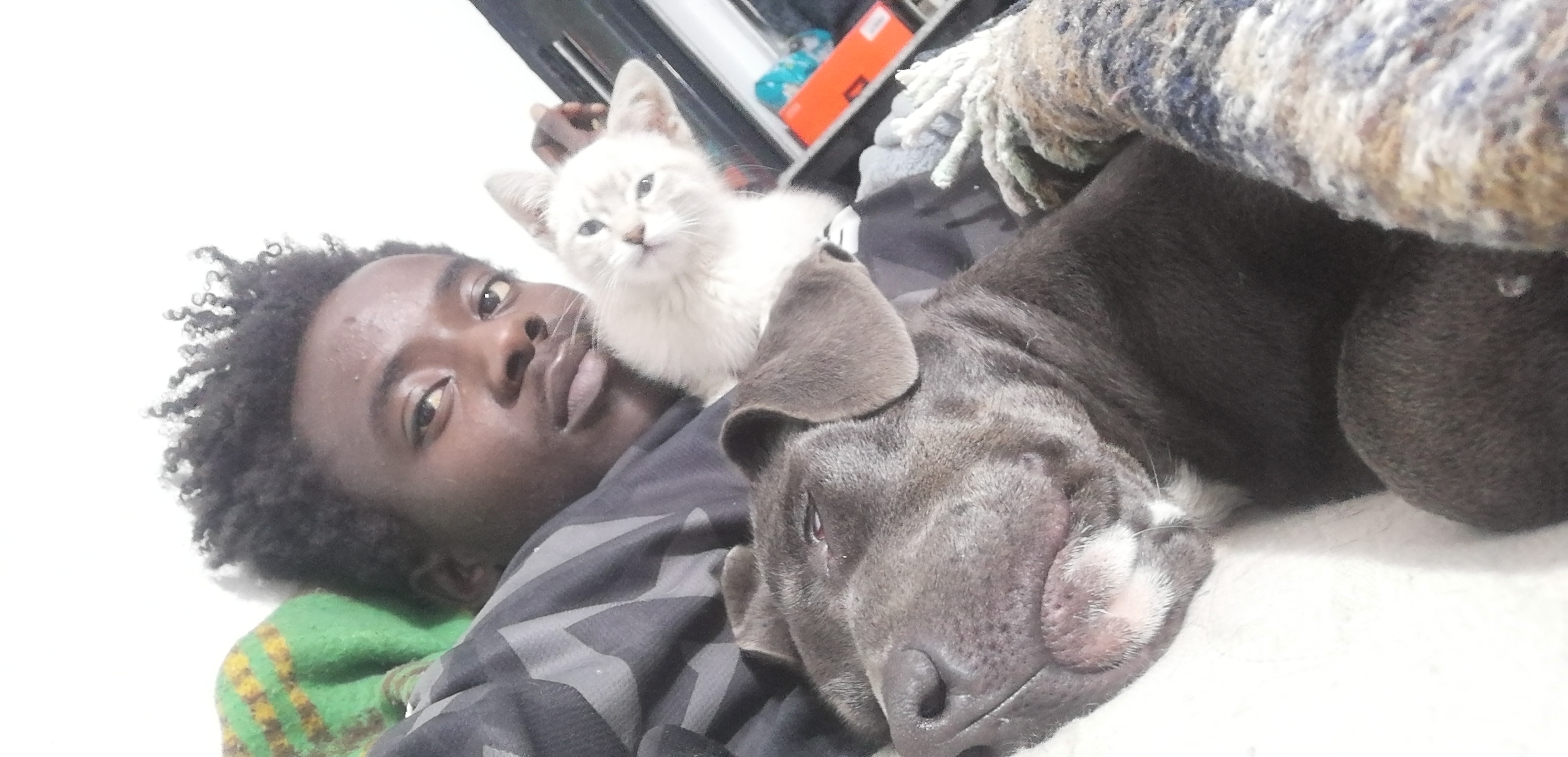 Mabé y béma