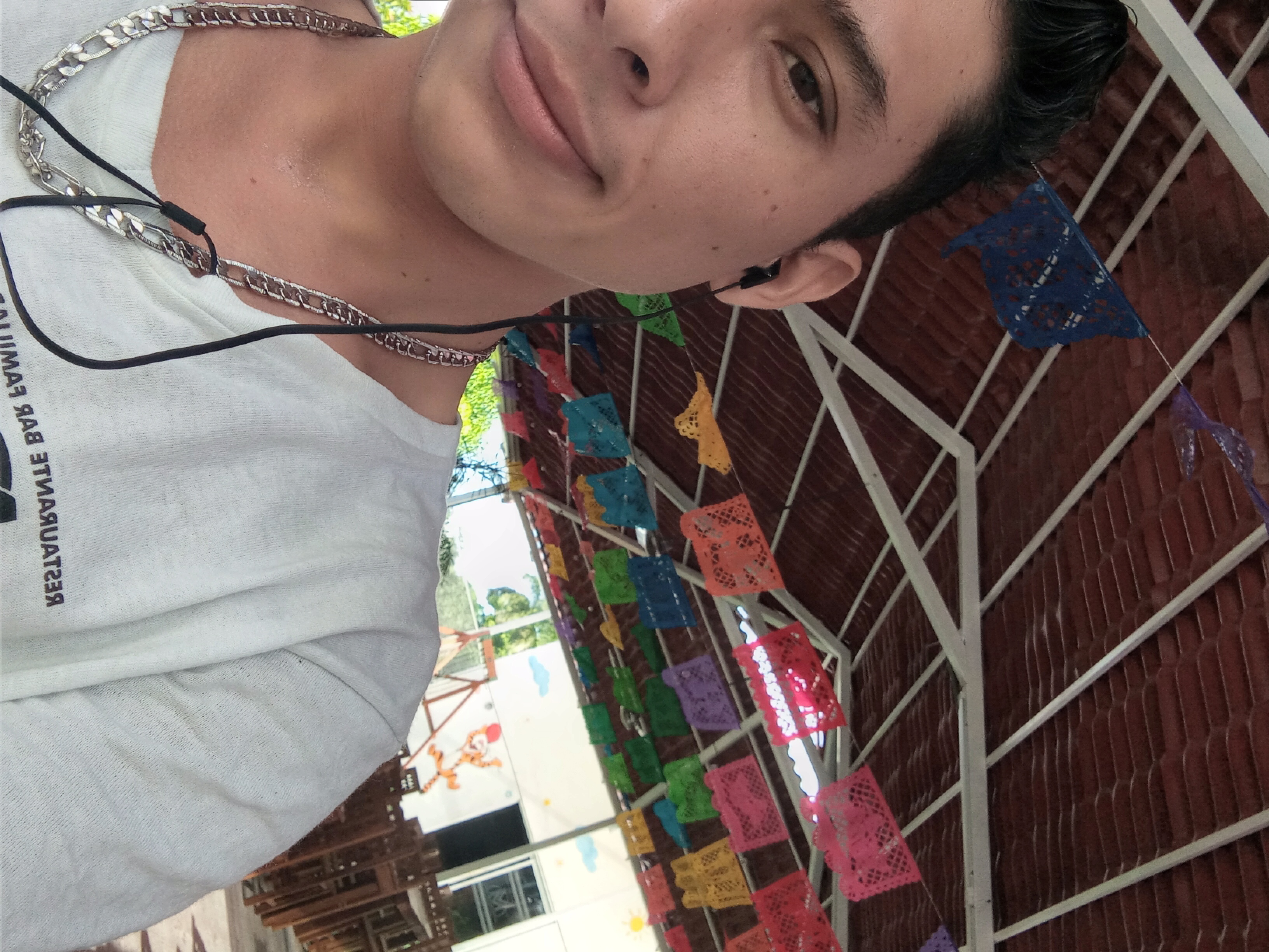 Tigre