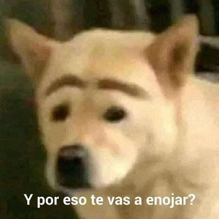 Y por eso te vas a enojar?