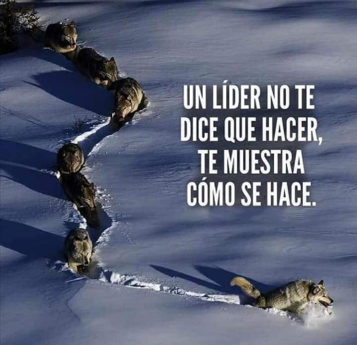 Solo para saber