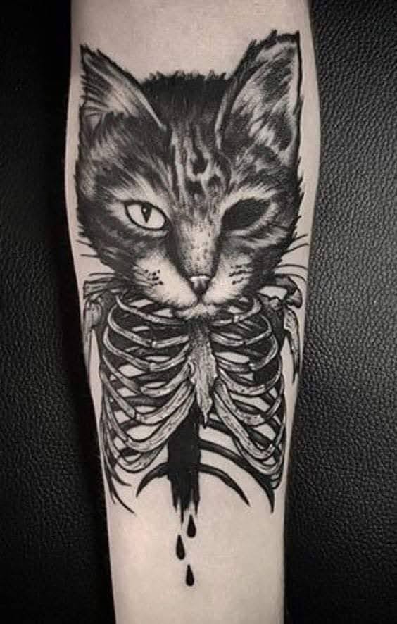 Gato sombie