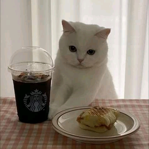 Se me hace poquito karen