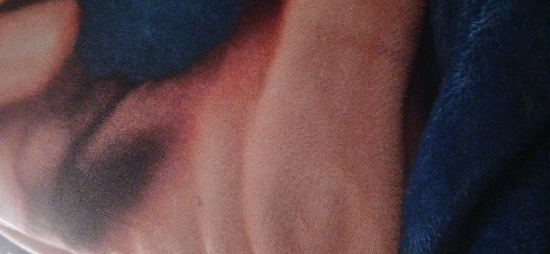 Cccc