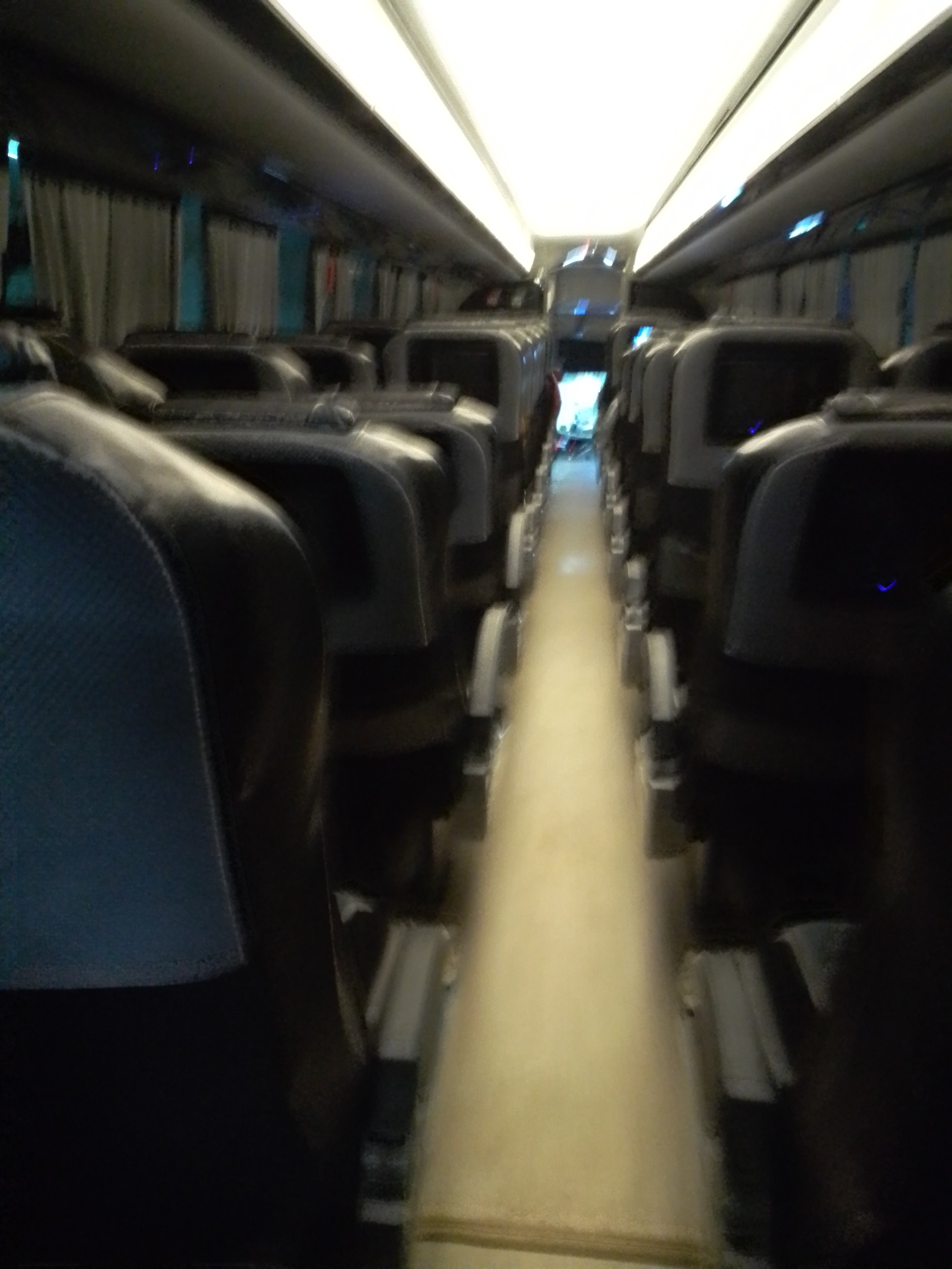 Borracho en autobús línea futura