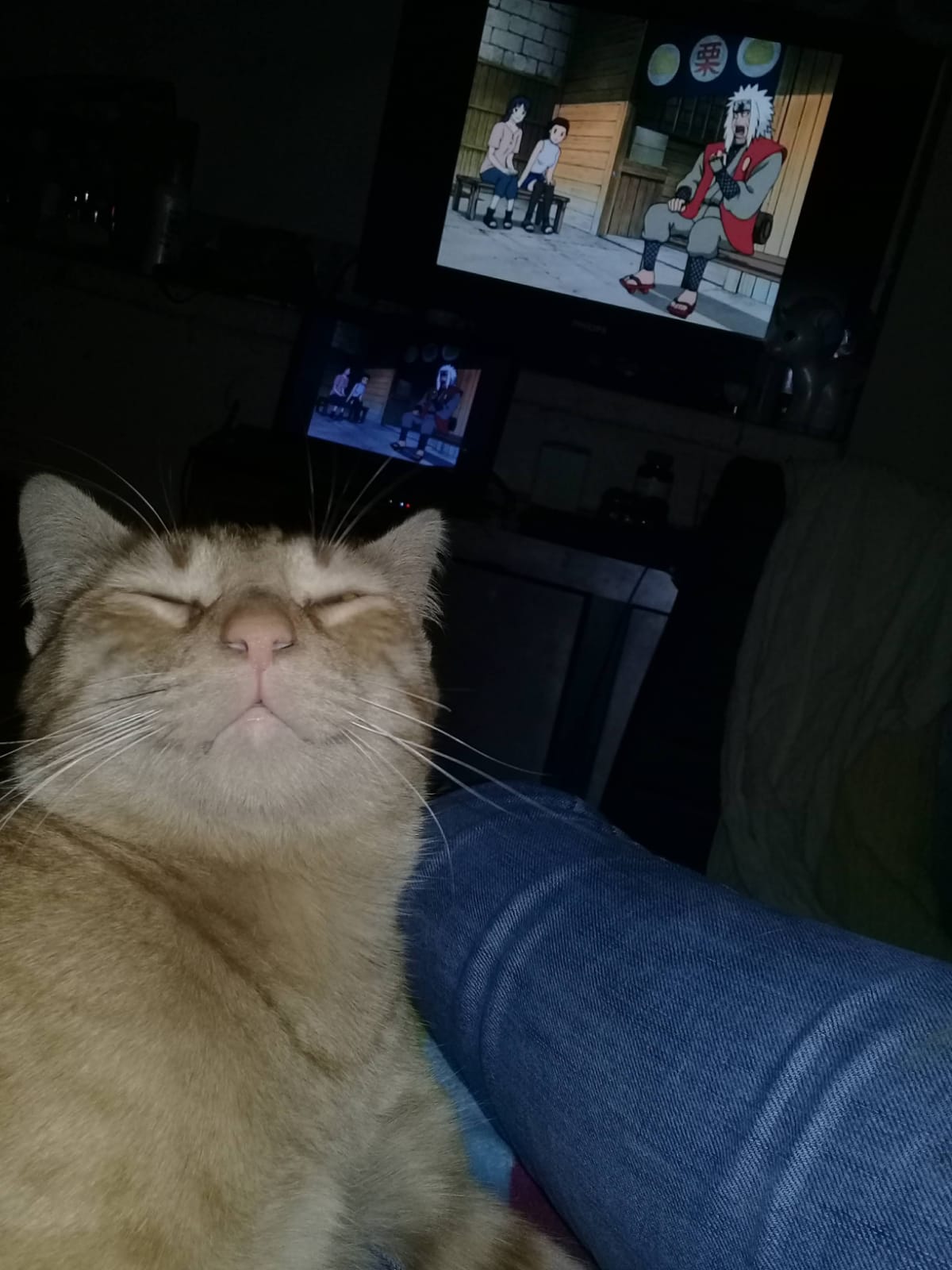 Olfateando la comida