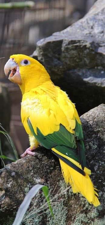 Naturaleza