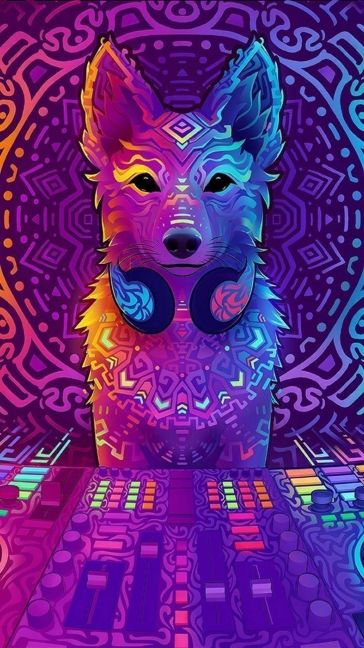 dj wolf