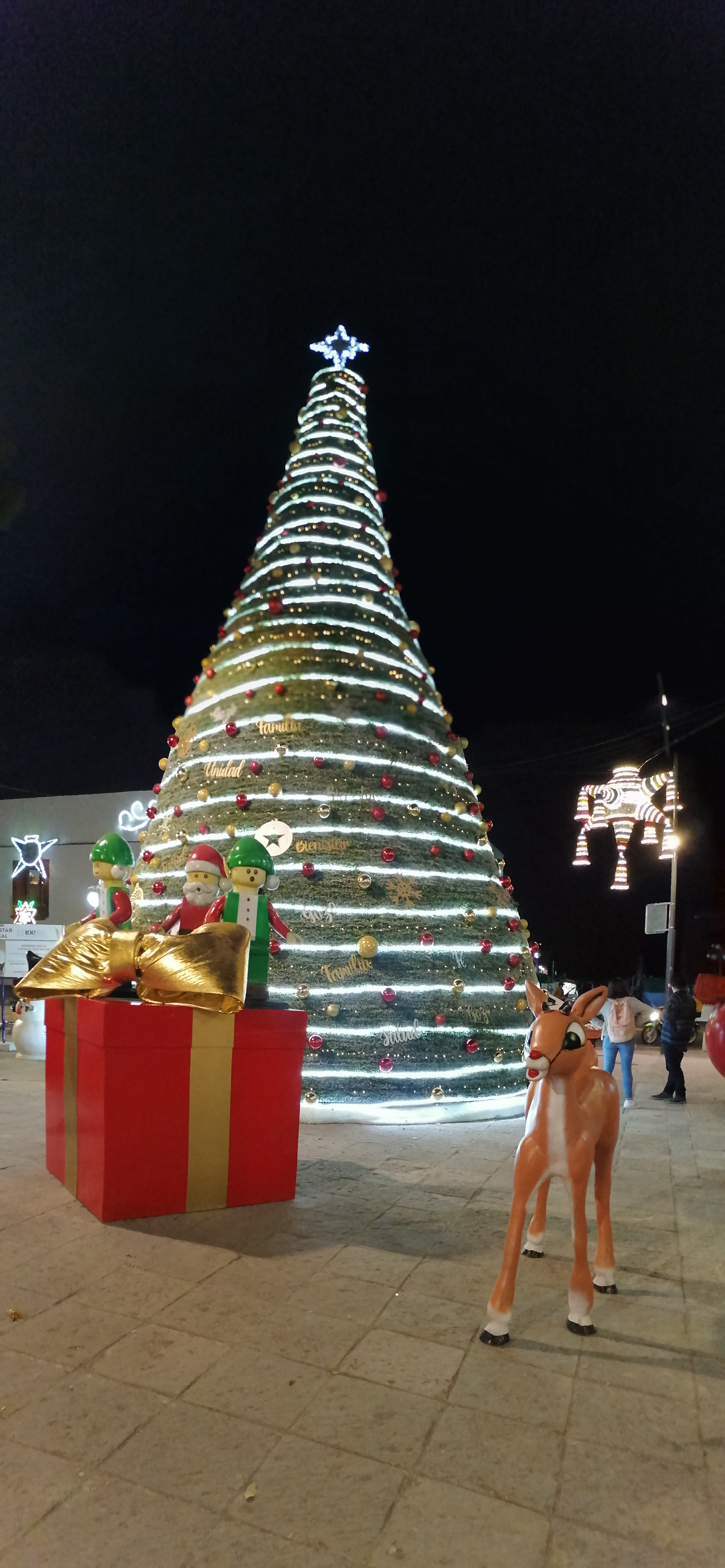 Navidad luminosa